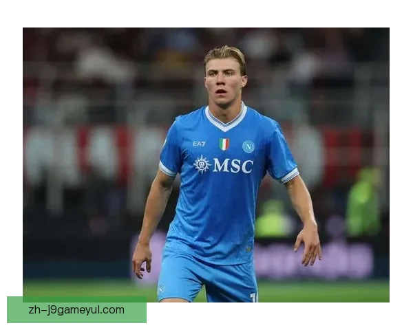 那佛大战麦克托米奈霍伊伦德赫亚